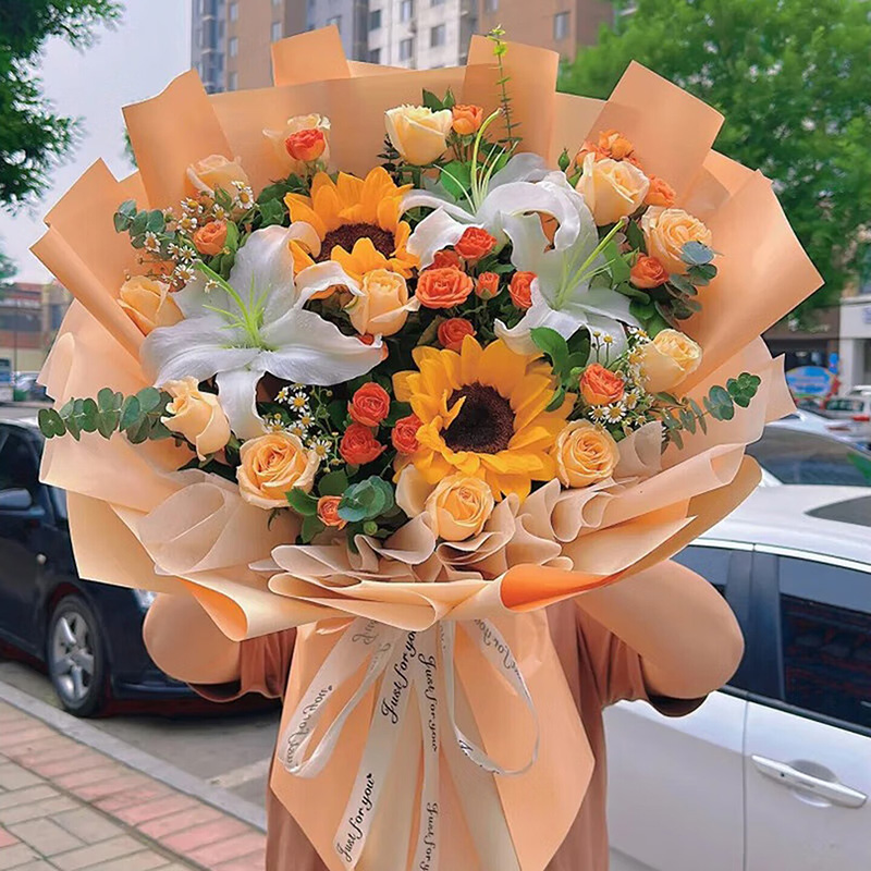 �Ǻ�����